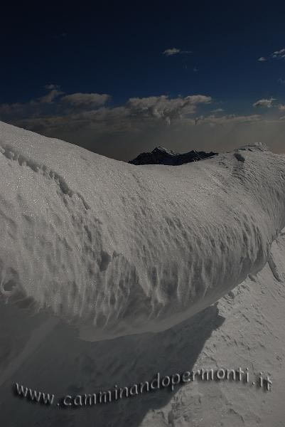 74 Monte Alben.jpg